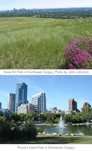 Nose Hill Park in Northwest Calgary - Tours and Activities
