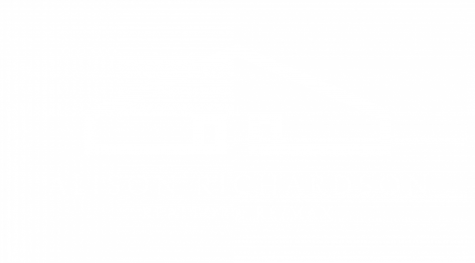alison richardson realtor re/max logo
