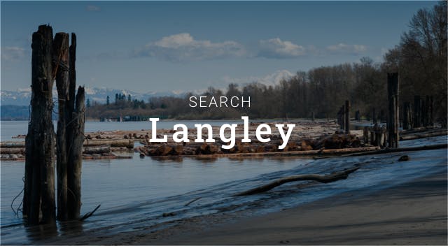 search langley button