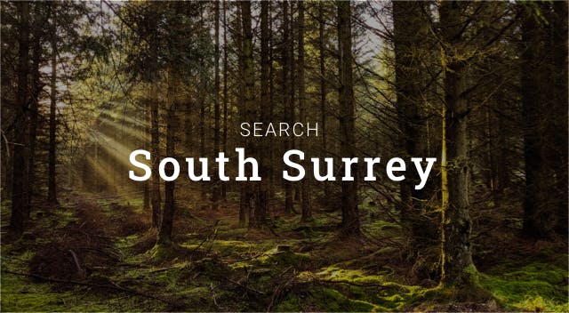 search south surrey button