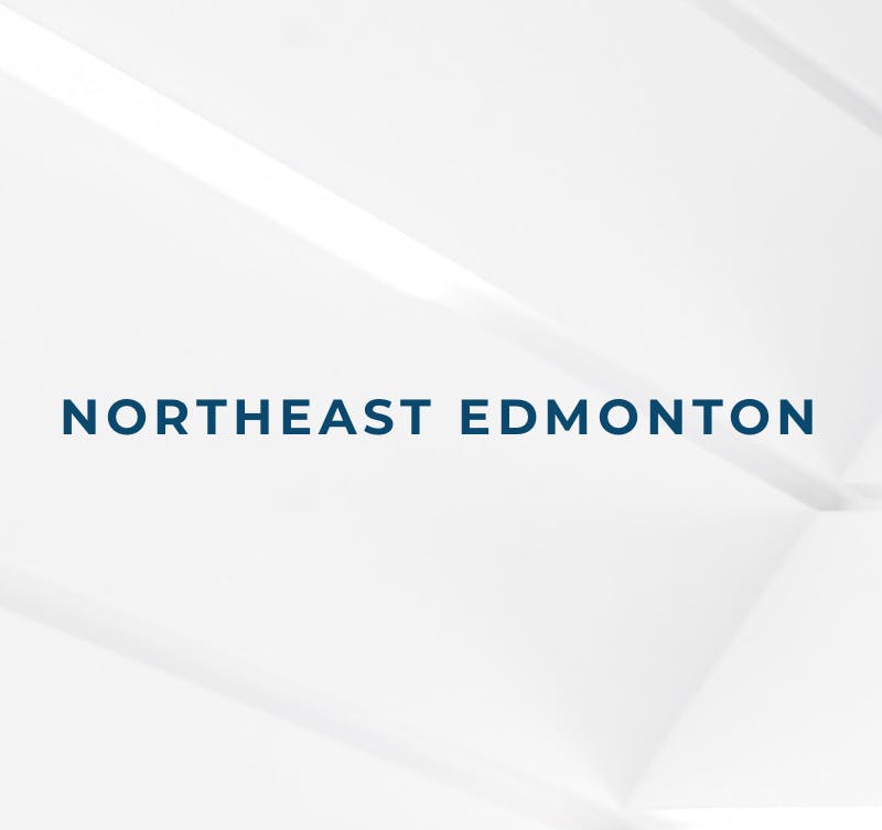 NE Edmonton search