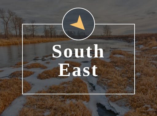 search for south east listings