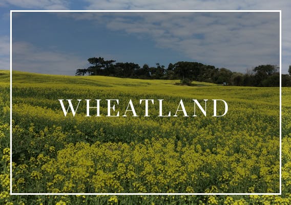 wheatland