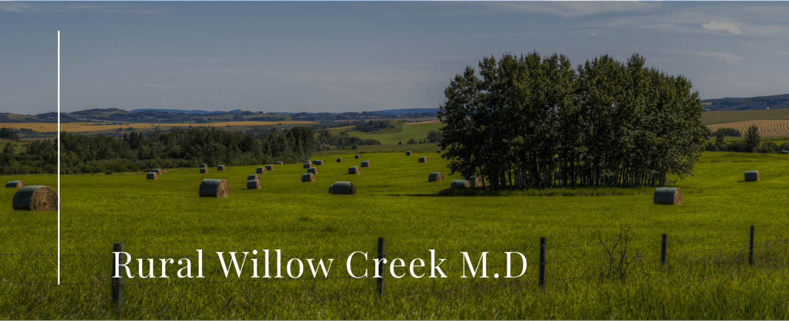 Rural Willow Creek