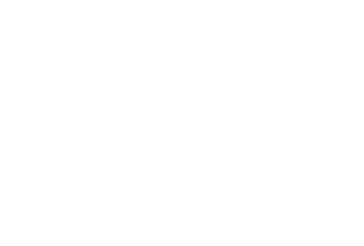 Dan Roberts logo