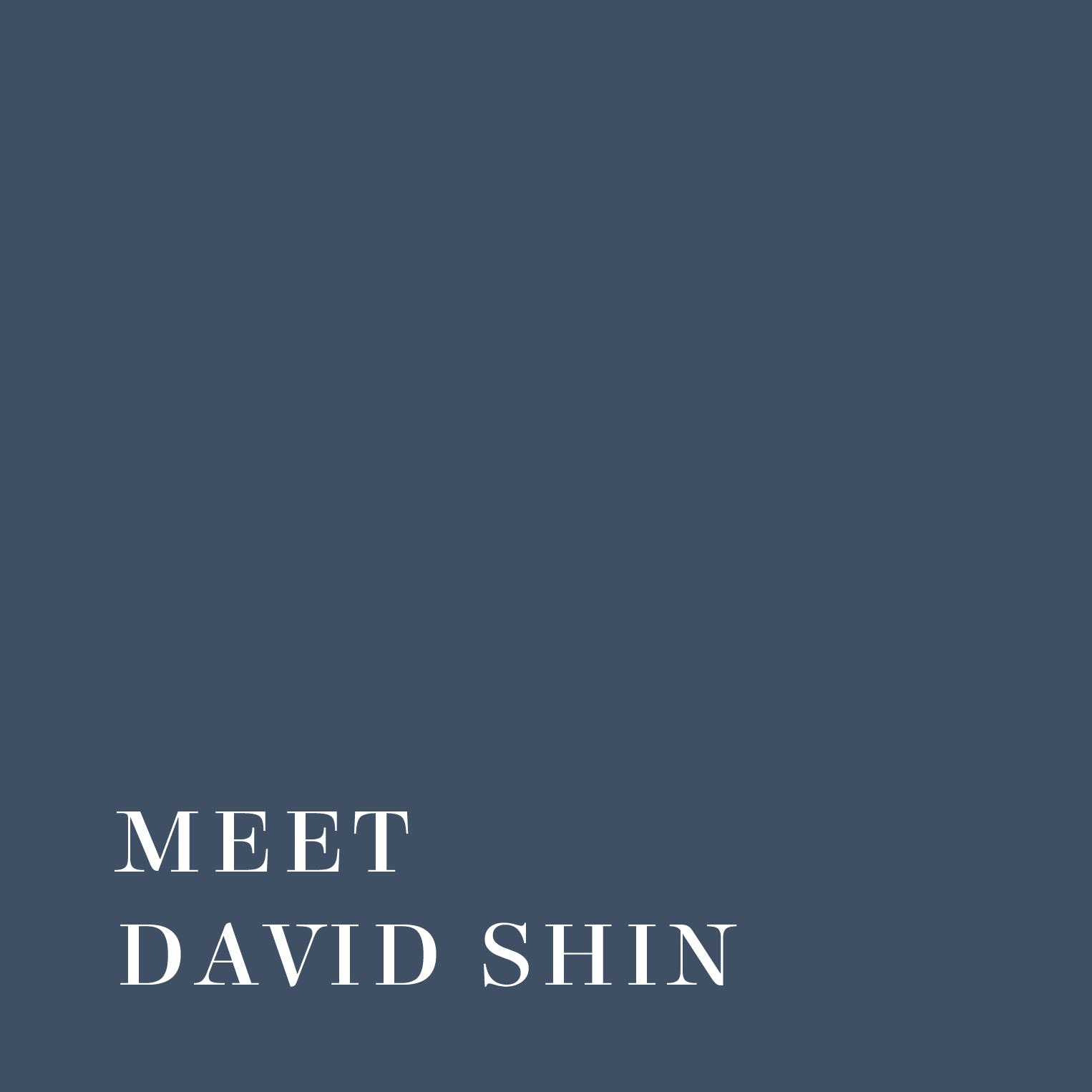 Meet david