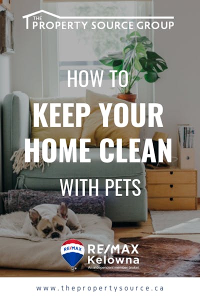 How to Keep Your Home Clean with Pets - The Property Source Group