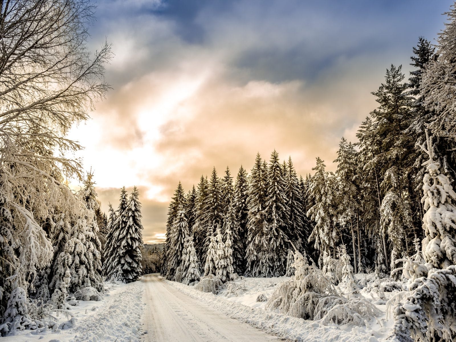 Things to do in Kelowna in Winter