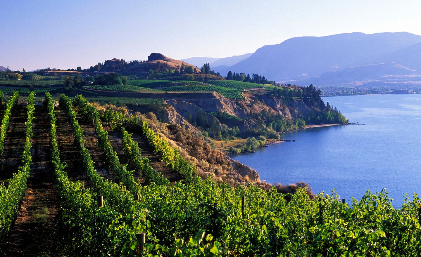 Why You Should Move to Lake Country in 2020