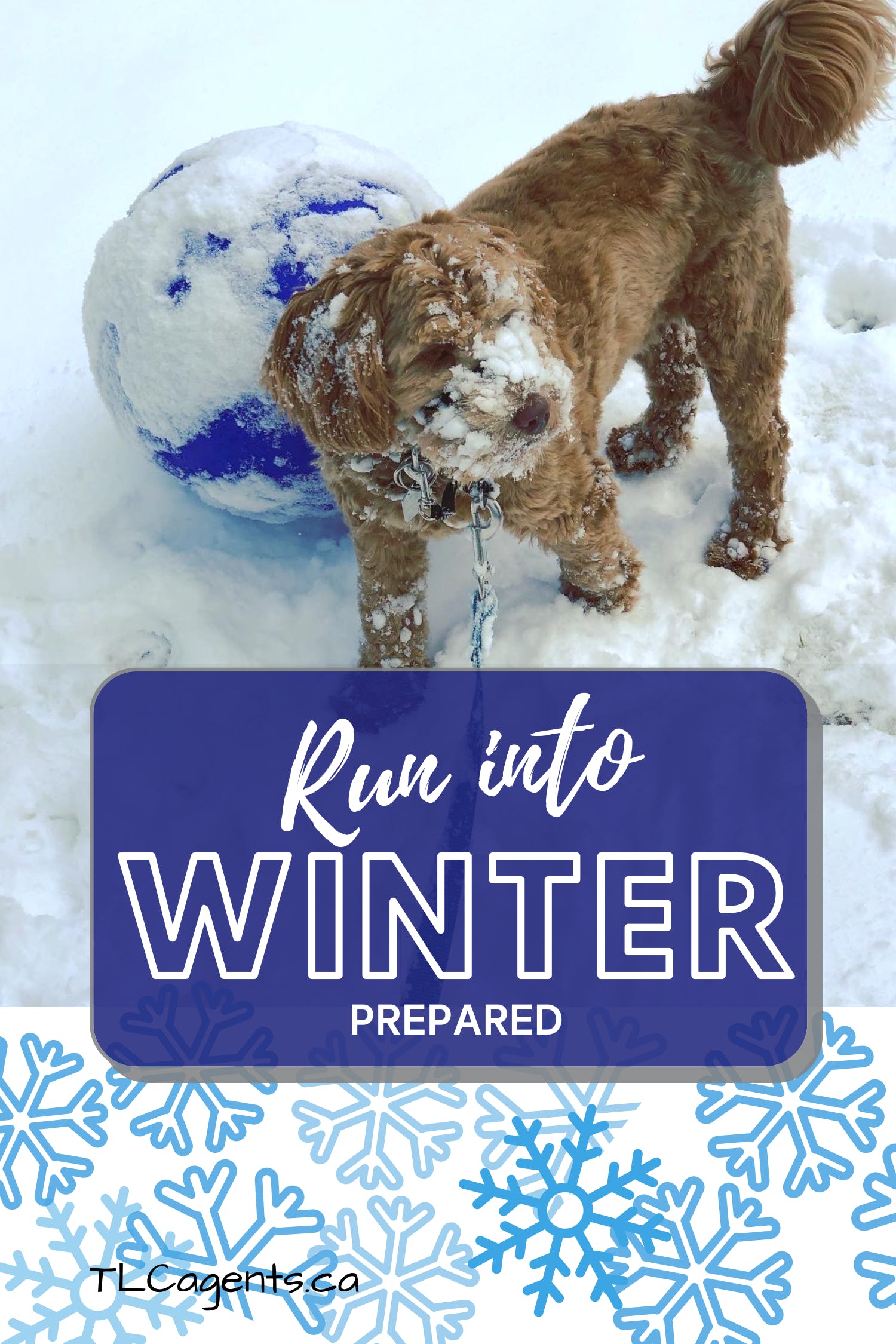 Run Into Winter Prepared!