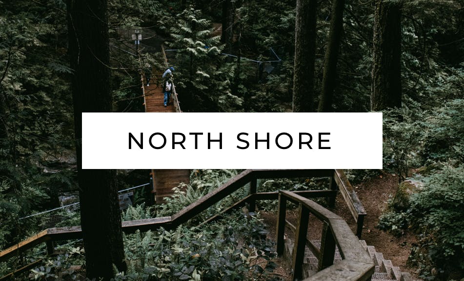 North shore