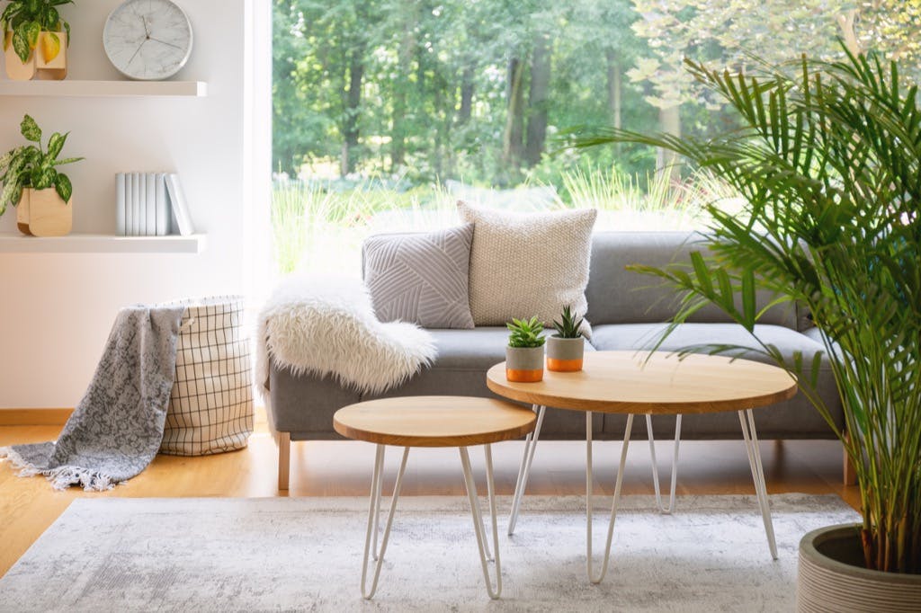 Wooden Tables In Front Of Grey Sofa With Cushions In Scandi Living Room Interior With Plant. Real Ph