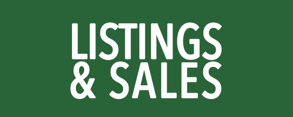 Kristi Holz Listings and Sales