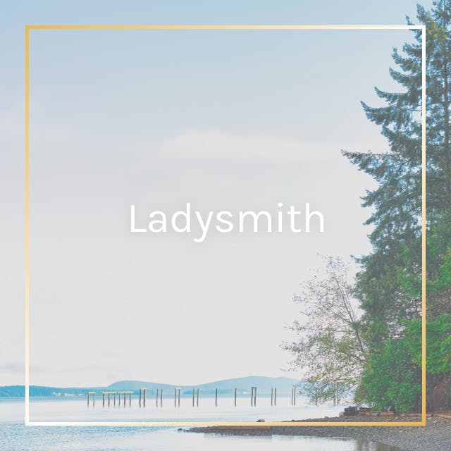 Lady Smith Copy 3