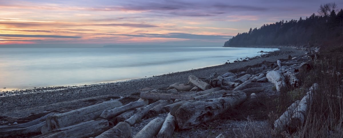 white rock condos for sale