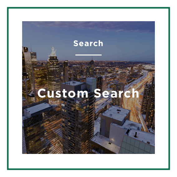 Custom Search