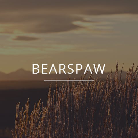 Search for listings with Seth Allred in Bearspaw, Ontario