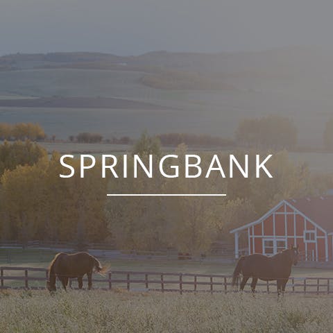 Search for listings with Seth Allred in Springbank, Alberta