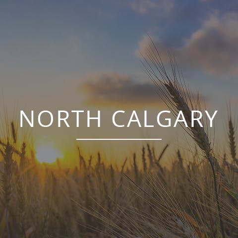 Search for listings with Seth Allred in North Calgary, Alberta