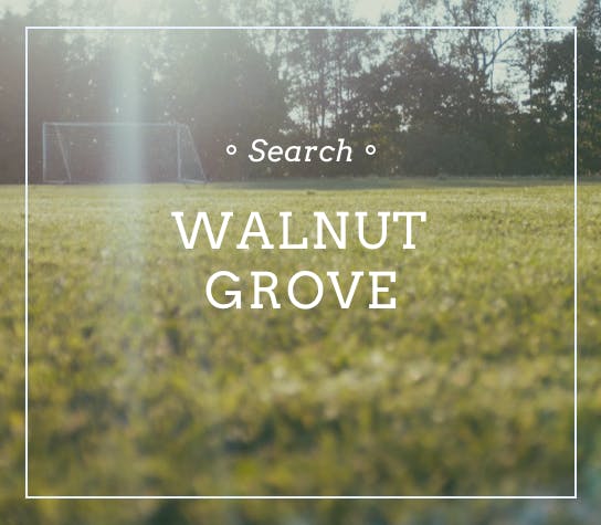 PredefinedSearches_walnut grove