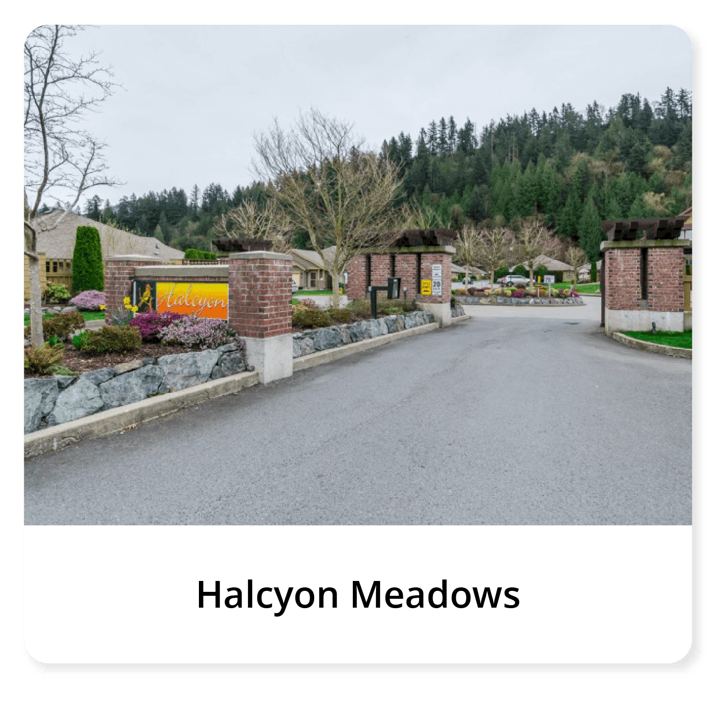Halcyon Meadows