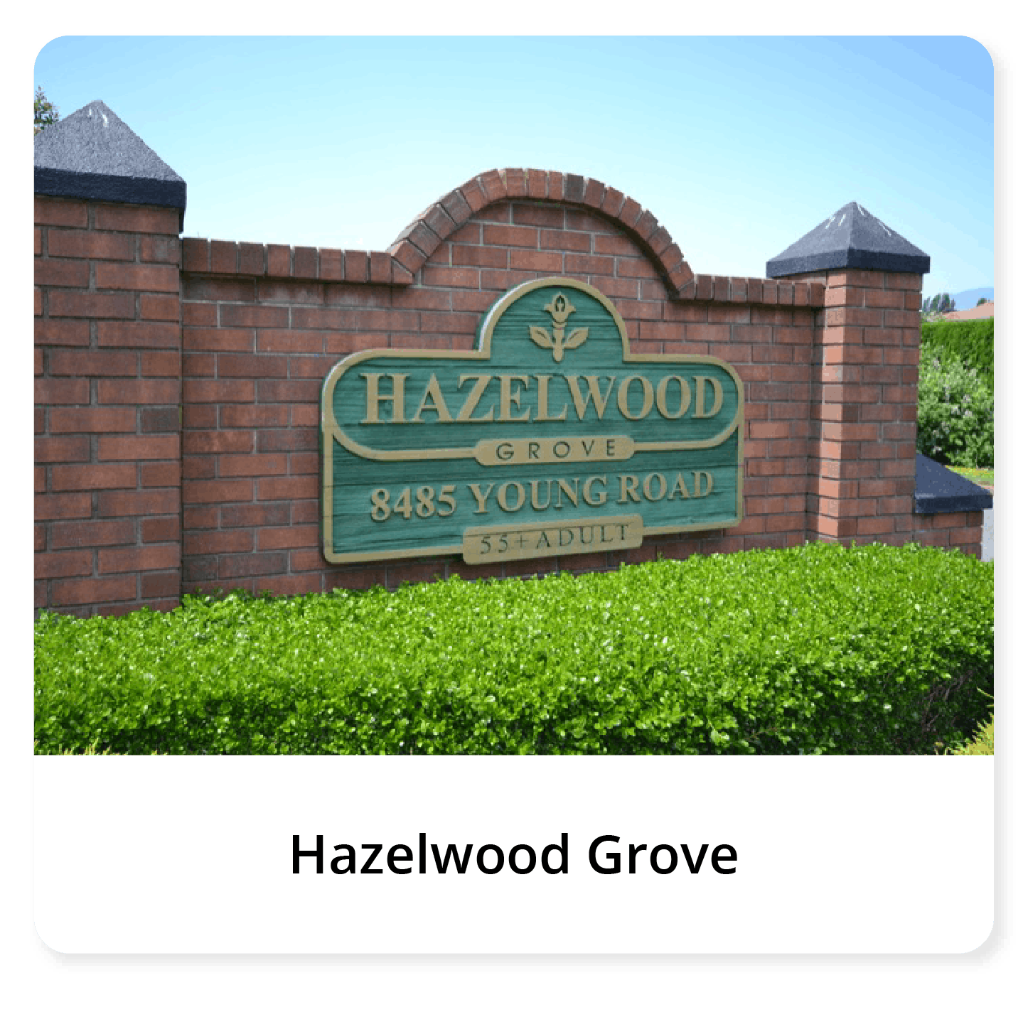 hazelwood grove