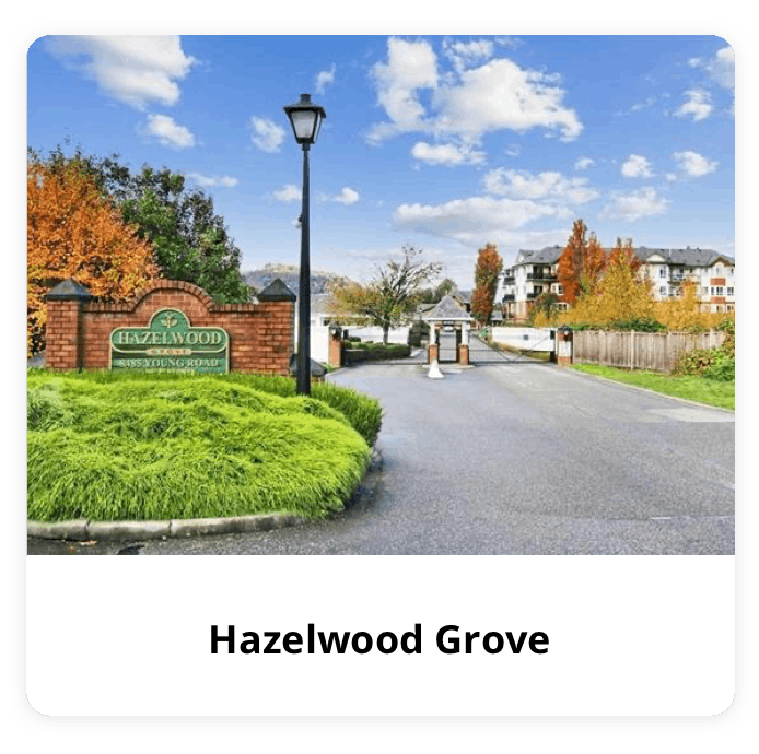 Hazelwood Grove
