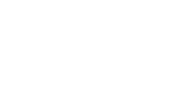 The Bastien Group